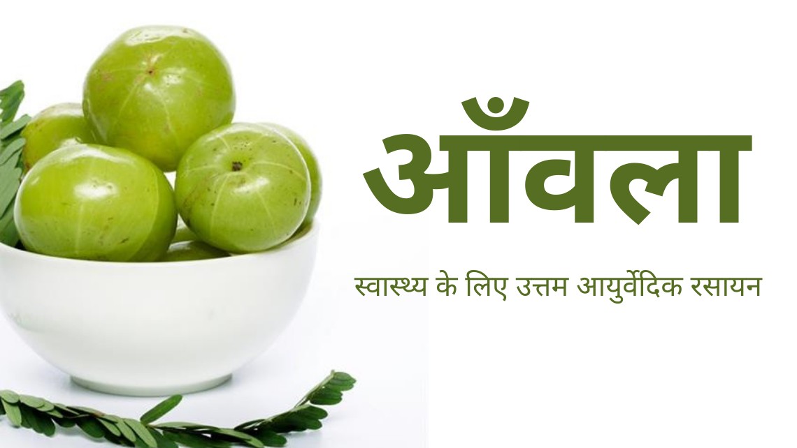 amla benefits in hindi