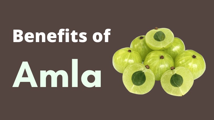 benefits of amla in hindi