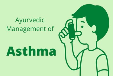 Herbs for asthma treatment